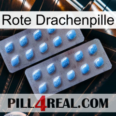 Red Dragon Pill viagra4